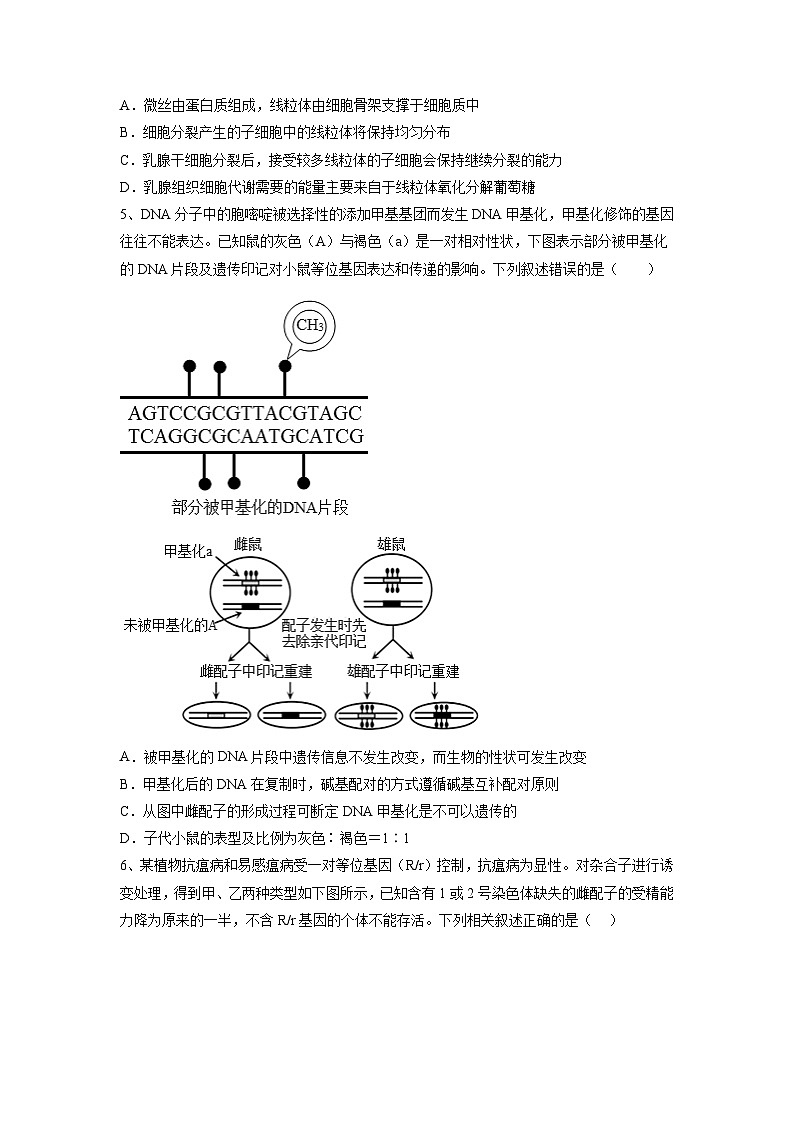 必刷卷01——【高考三轮冲刺】2023年高考生物考前20天冲刺必刷卷（山东卷）（原卷版）第3页