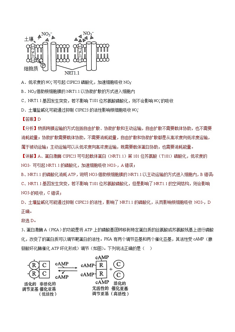 必刷卷02——【高考三轮冲刺】2023年高考生物考前20天冲刺必刷卷（山东卷）（原卷版+解析版）03