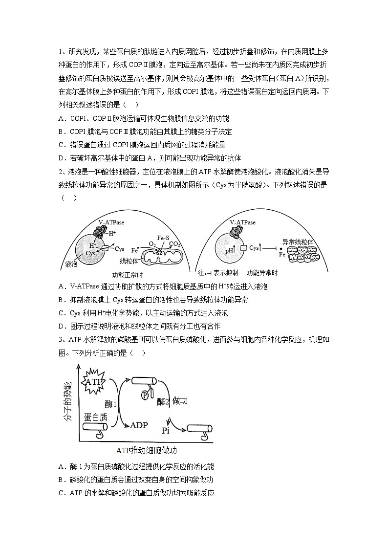 必刷卷03——【高考三轮冲刺】2023年高考生物考前20天冲刺必刷卷（山东卷）（原卷版+解析版）02