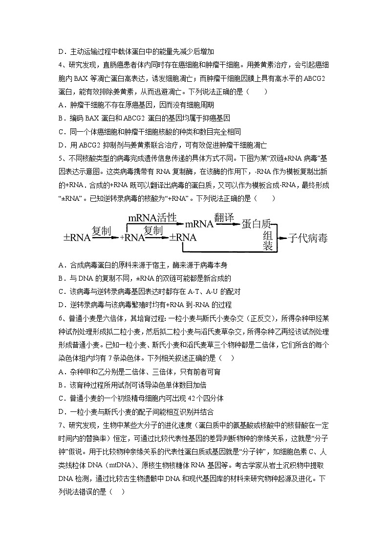 必刷卷03——【高考三轮冲刺】2023年高考生物考前20天冲刺必刷卷（山东卷）（原卷版+解析版）03