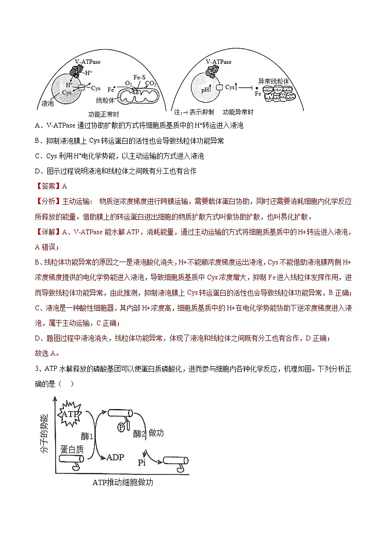 必刷卷03——【高考三轮冲刺】2023年高考生物考前20天冲刺必刷卷（山东卷）（原卷版+解析版）03