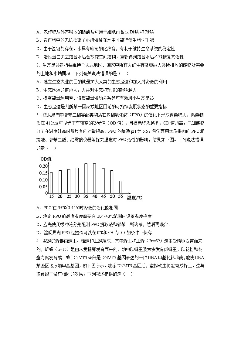 必刷卷02（原卷版）第2页