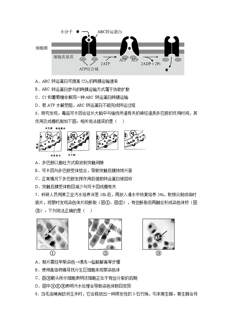 必刷卷03——【高考三轮冲刺】2023年高考生物考前20天冲刺必刷卷（广东专用）（原卷版+解析版）03