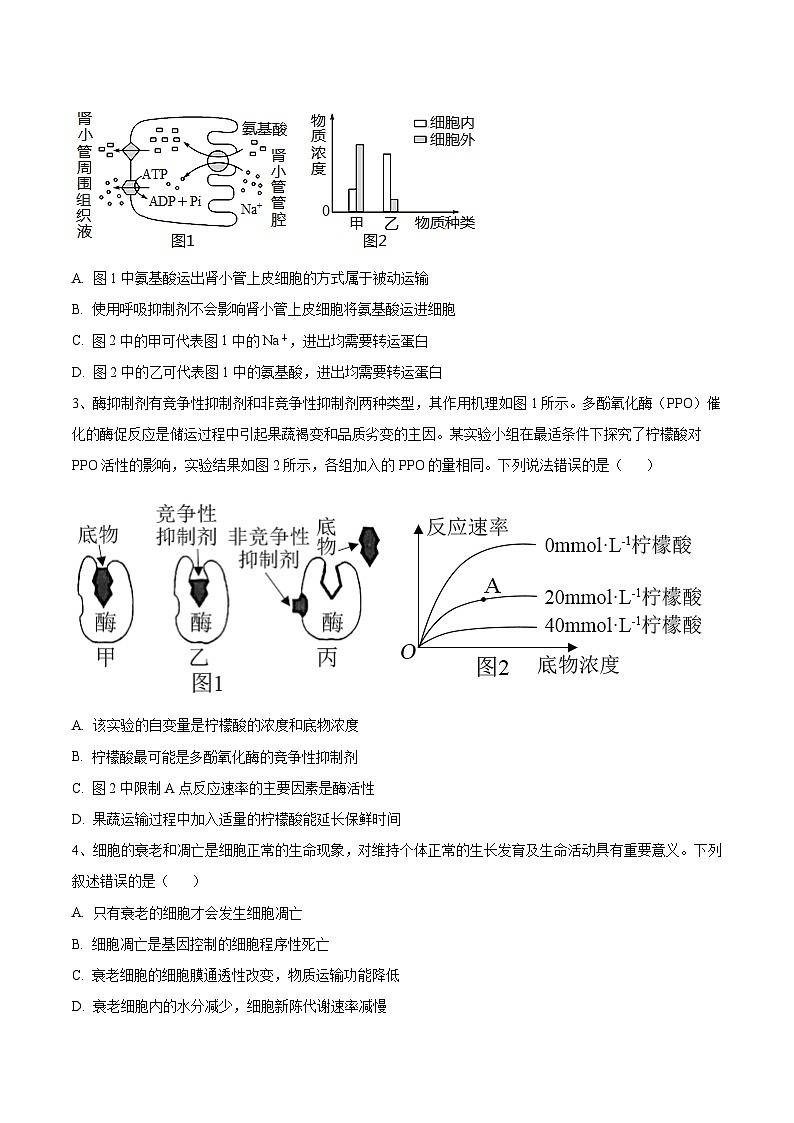 必刷卷04——【高考三轮冲刺】2023年高考生物考前20天冲刺必刷卷（河北卷）（原卷版+解析版）02