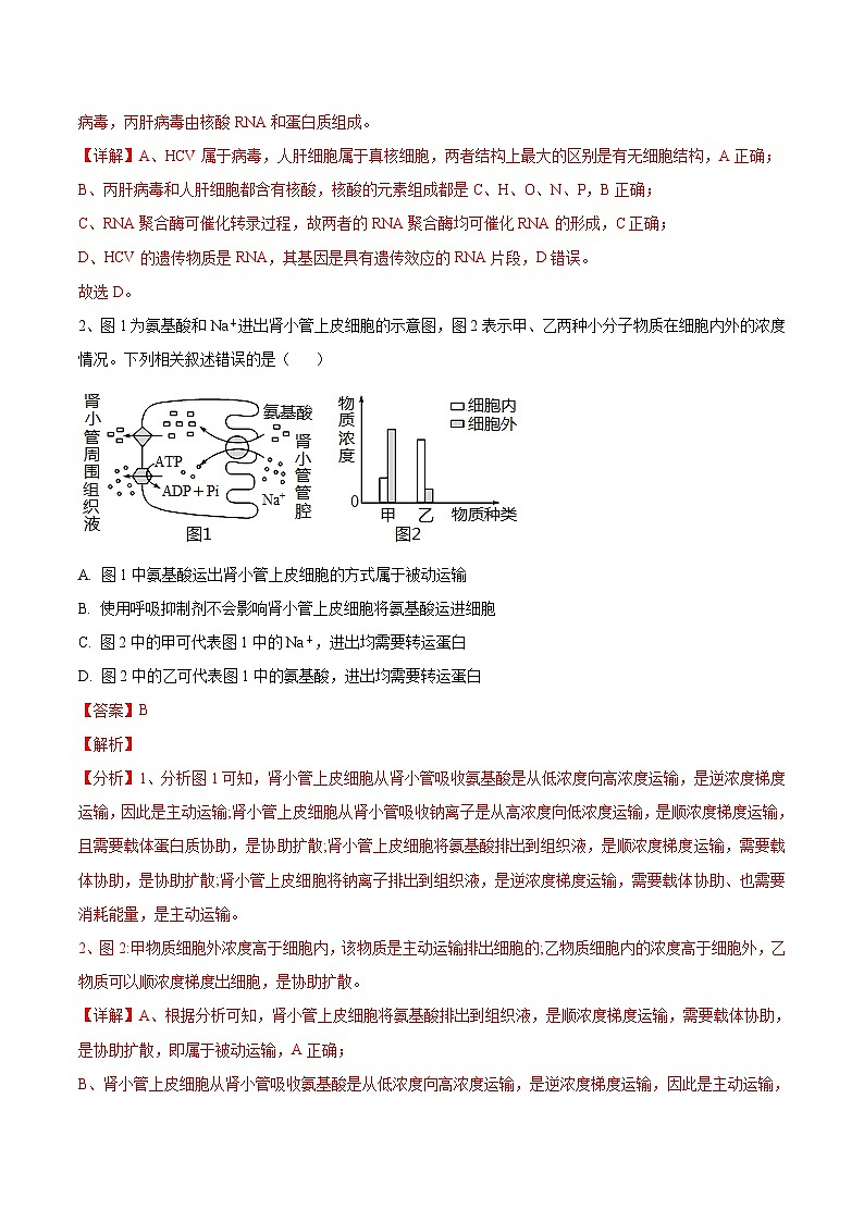 必刷卷04——【高考三轮冲刺】2023年高考生物考前20天冲刺必刷卷（河北卷）（原卷版+解析版）02