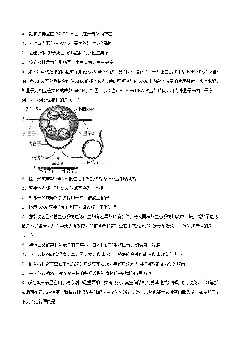 必刷卷02——【高考三轮冲刺】2023年高考生物考前20天冲刺必刷卷（浙江卷）（原卷版+解析版）03