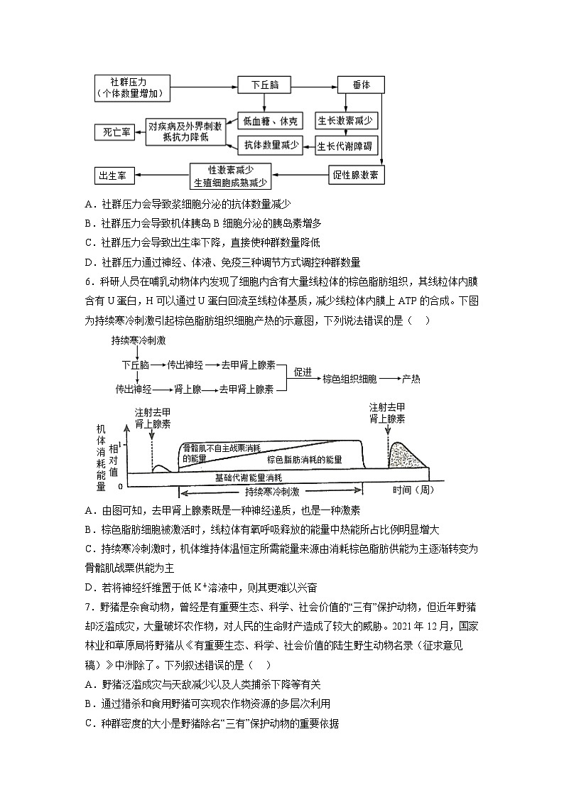 必刷卷04——【高考三轮冲刺】2023年高考生物考前20天冲刺必刷卷（浙江卷）（原卷版）第3页
