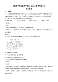 精品解析：河南省洛阳市新学道高级中学2022-2023学年高二上学期期中生物试题（解析版）