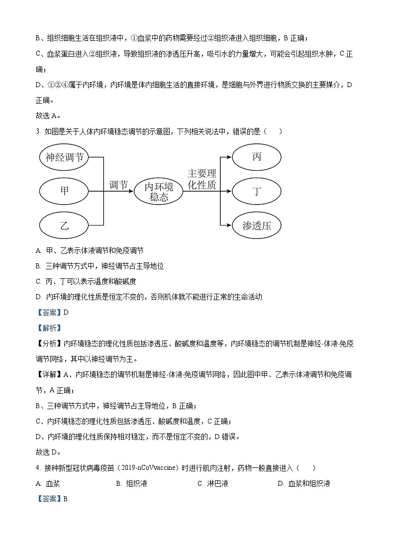 精品解析：河南省洛阳市新学道高级中学2022-2023学年高二上学期期中生物试题（解析版）第2页