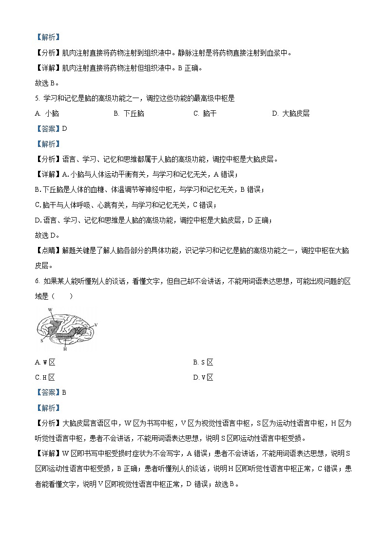 精品解析：河南省洛阳市新学道高级中学2022-2023学年高二上学期期中生物试题（解析版）第3页