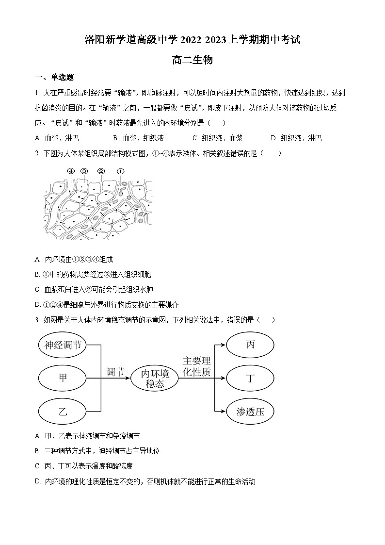 精品解析：河南省洛阳市新学道高级中学2022-2023学年高二上学期期中生物试题（原卷版）01