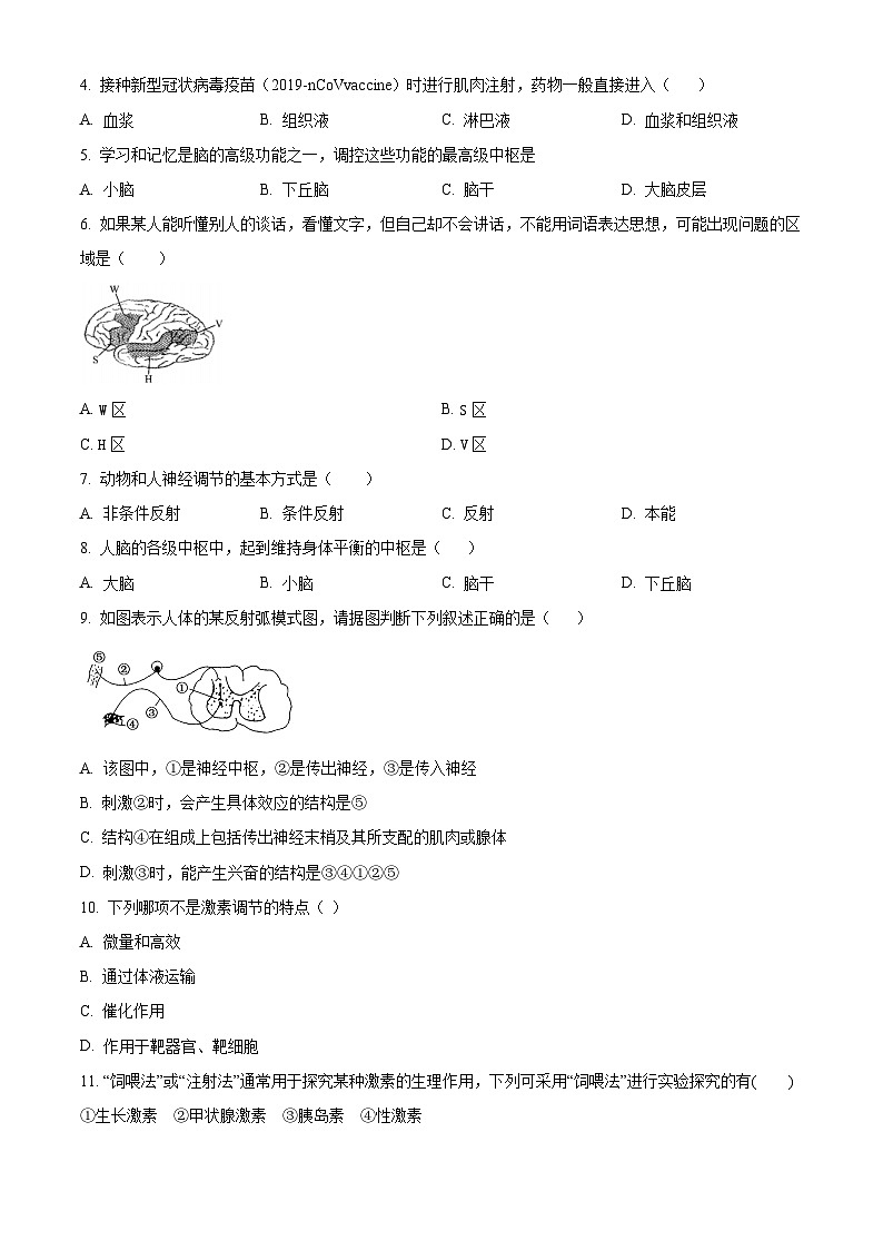 精品解析：河南省洛阳市新学道高级中学2022-2023学年高二上学期期中生物试题（原卷版）02