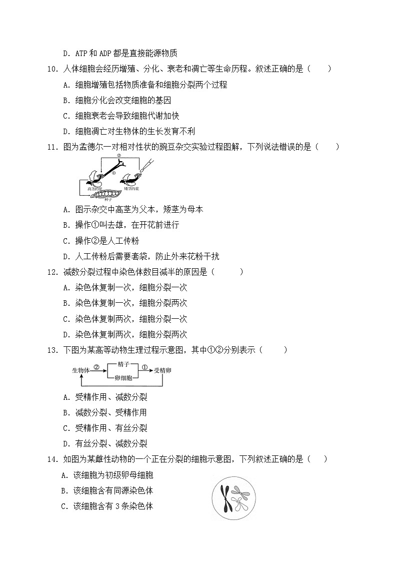 四川省高2022级普通高中生物学学业水平考试第3页