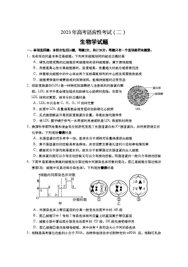 2023年江苏省南通市高考适应性考试（二）生物试题01