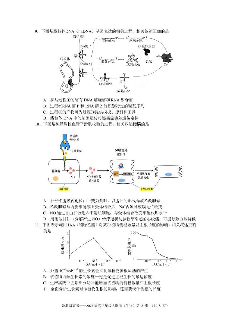 江苏省决胜新高考2022-2023学年高三下学期4月大联考 生物附解答第3页