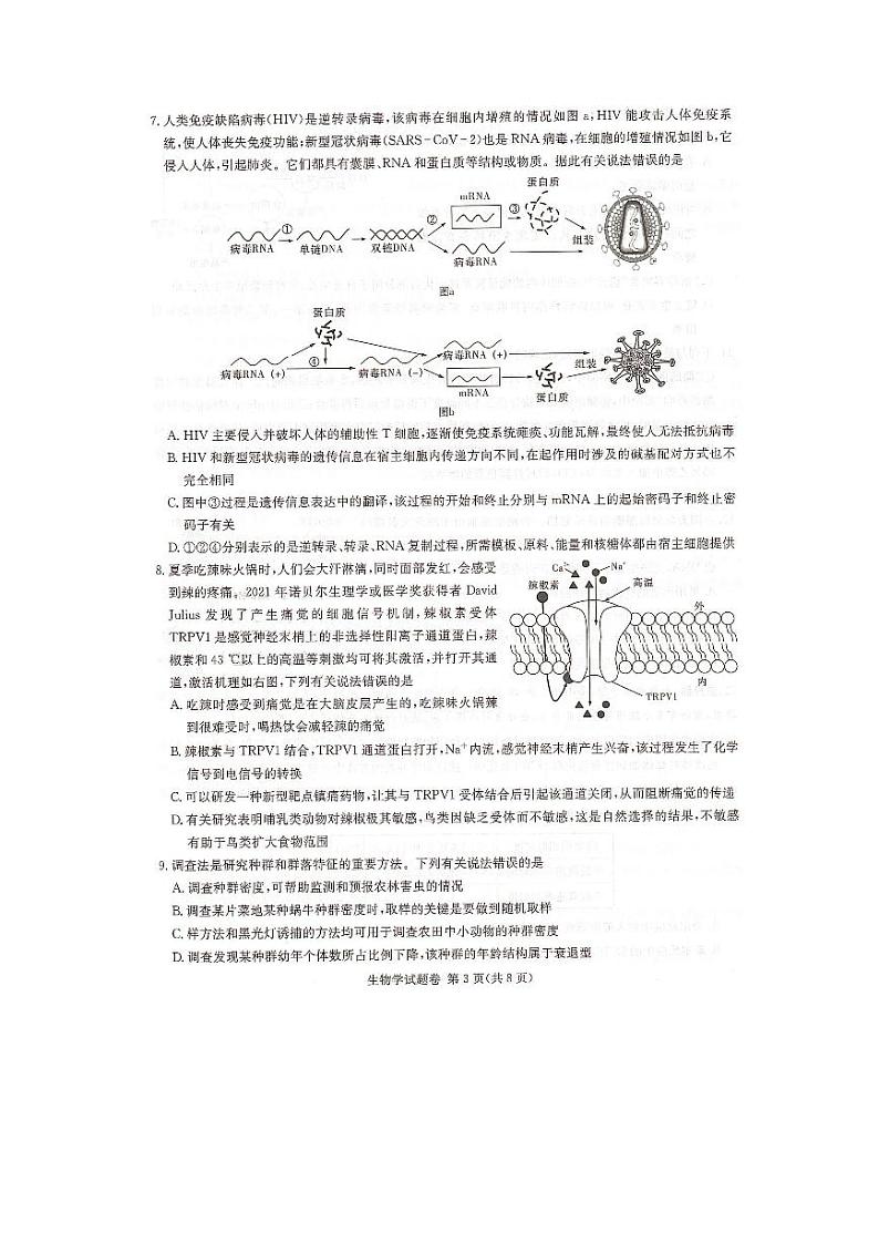 2023届湖南省教学教研联盟高三第二次联考生物试题附答案03