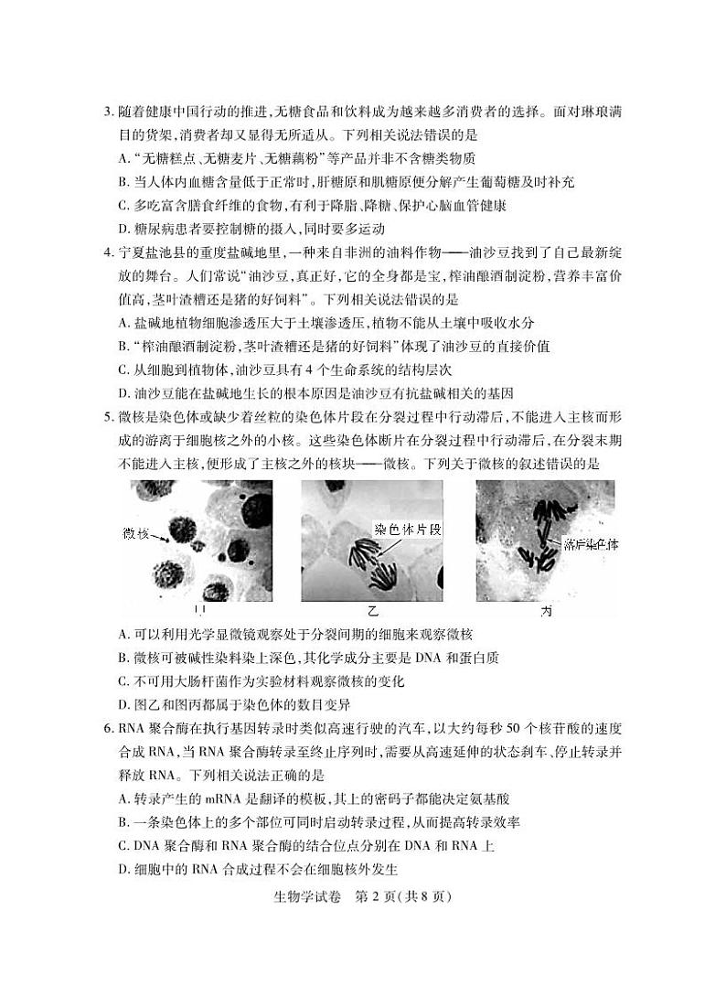 第八届湖北省高三（4月）调研模拟考试 生物附答案第2页
