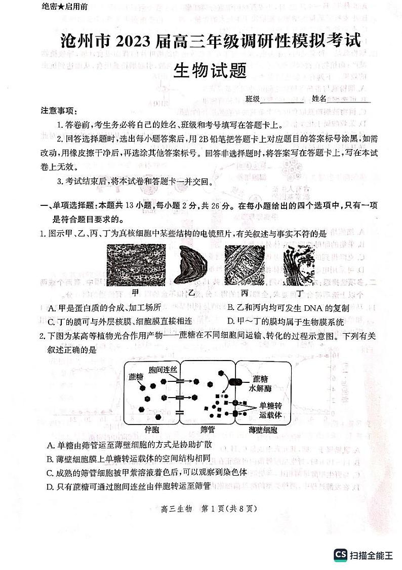2023届河北省沧州市高三调研性模拟考试生物试题附答案第1页