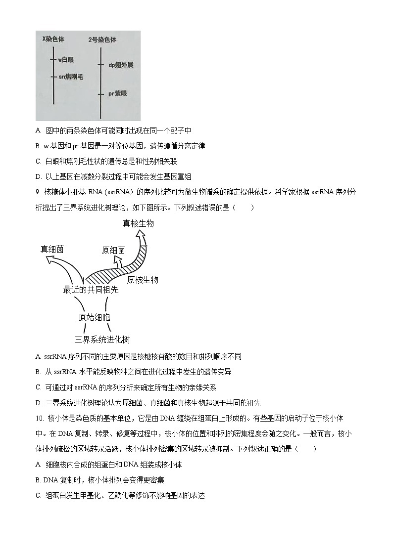 精品解析：2023届广东省佛山市高三二模生物试题附答案03