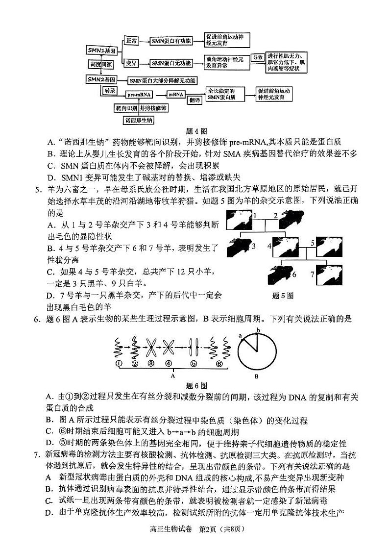 2023重庆二诊（教科院卷）高2023届学业质量调研抽测（第二次）生物试卷附答案02