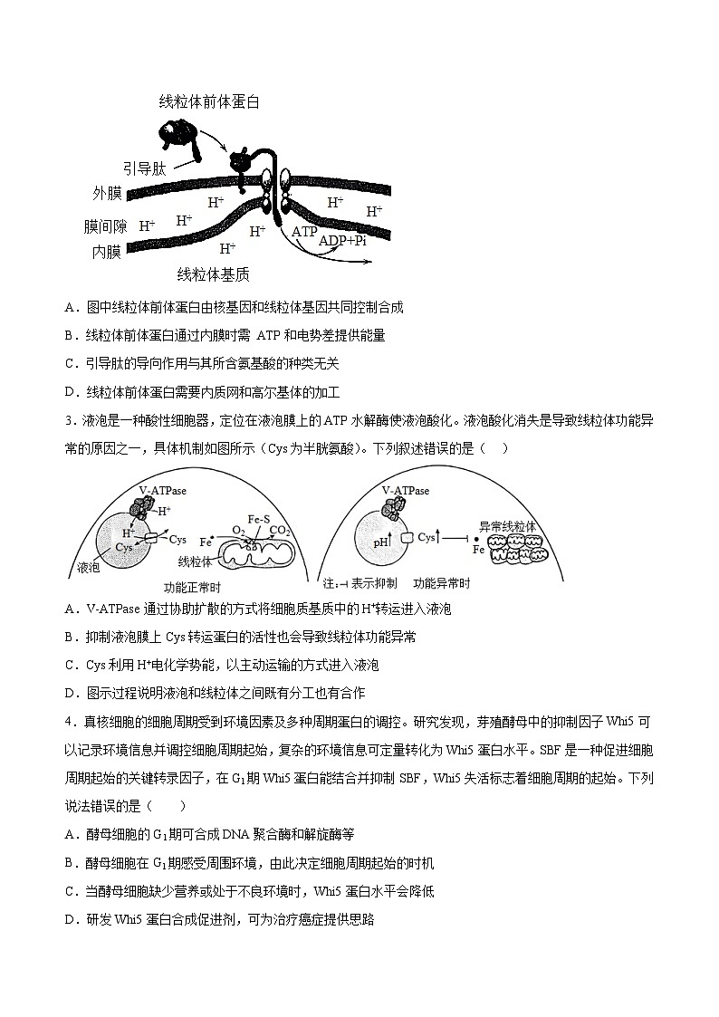 2023年高考押题预测卷01—生物（考试版）02