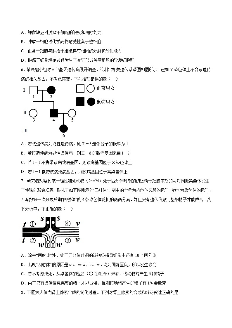 2023年高考押题预测卷02（辽宁卷）-生物（考试版）第3页