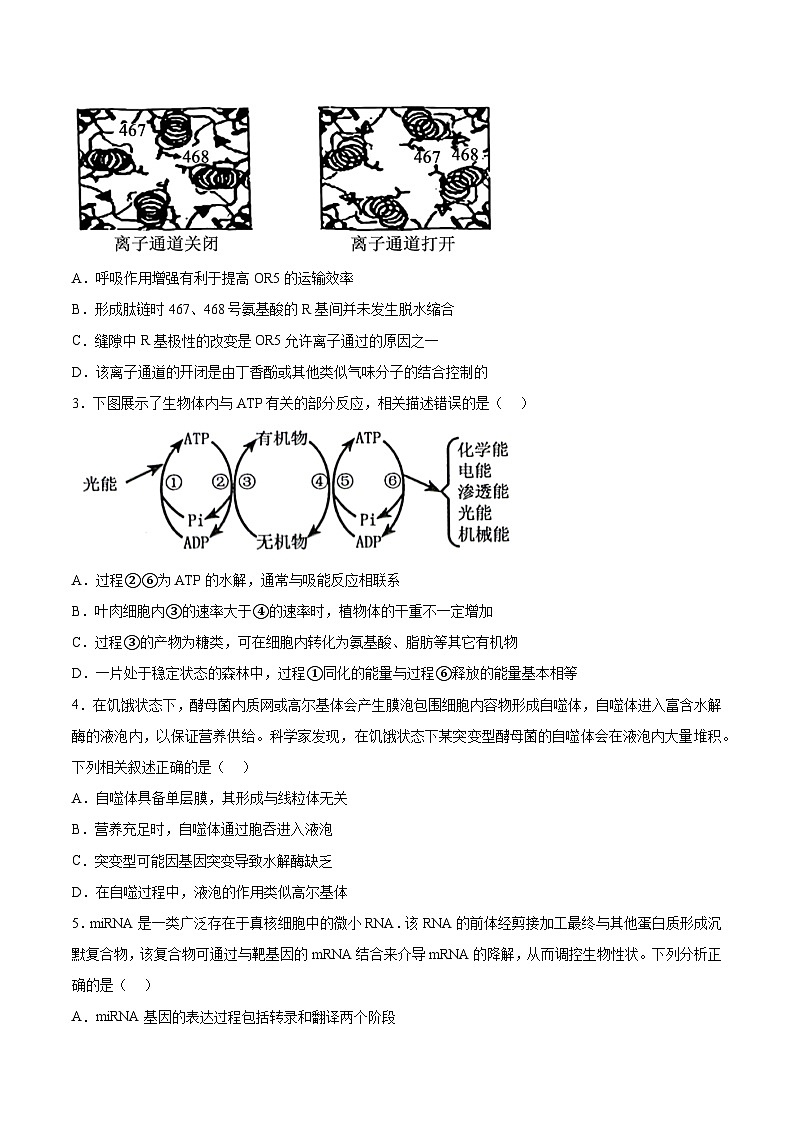 2023年高考押题预测卷02—生物（考试版）第2页