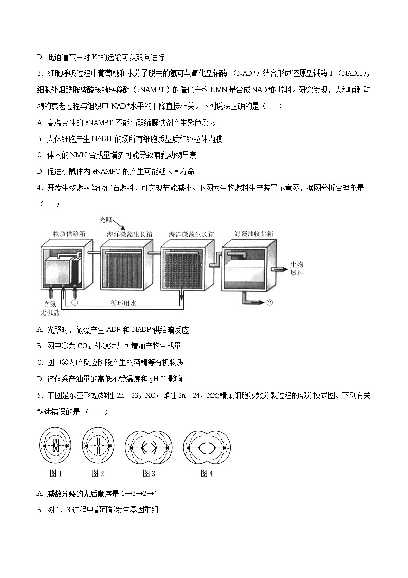 2023年高考押题预测卷03（江苏卷）-生物（考试版）第2页