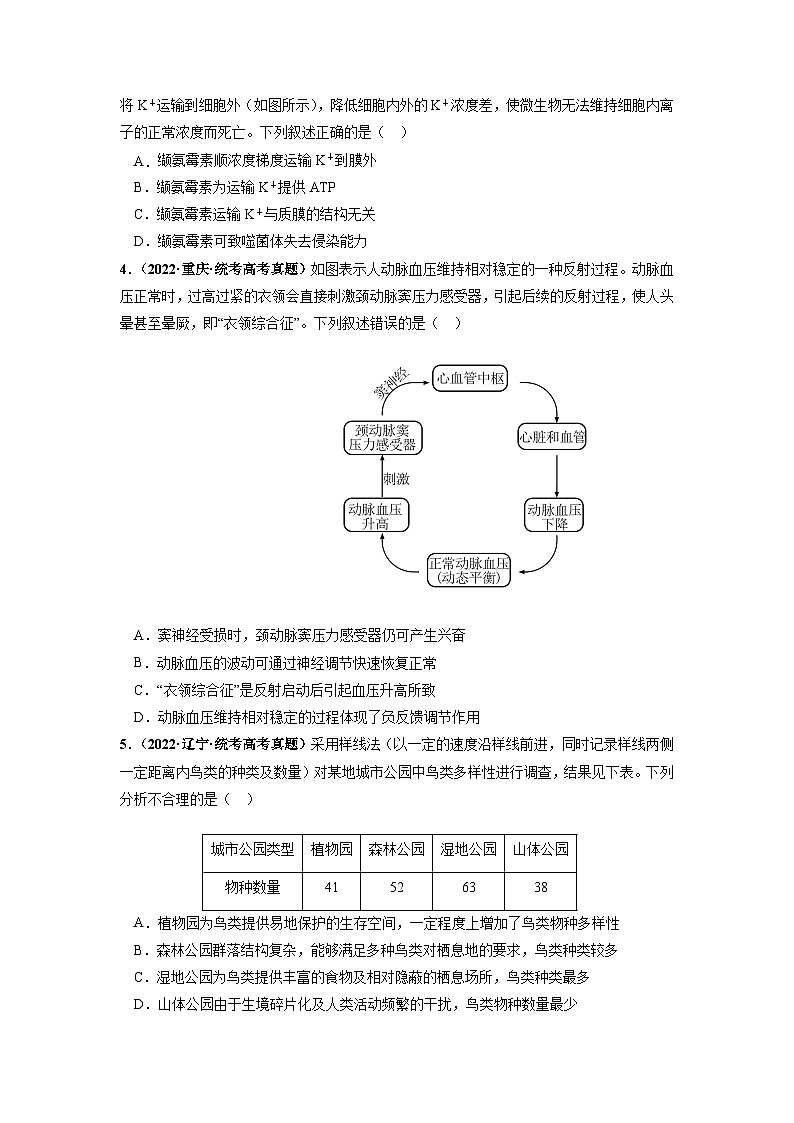 真题重组卷02——2023年高考生物真题汇编重组卷（云南，安徽，黑龙江，山西，吉林五省通用）（原卷版）第2页