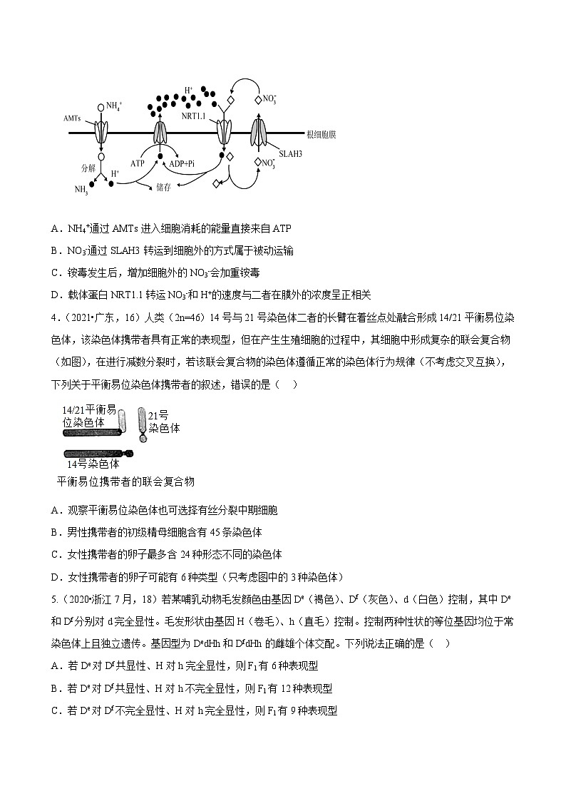 真题重组卷01——2023年高考生物真题汇编重组卷（山东专用）（原卷版）第2页
