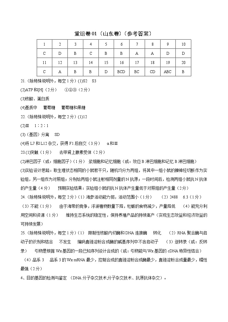 真题重组卷01——2023年高考生物真题汇编重组卷（山东专用）（参考答案及评分标准）第1页