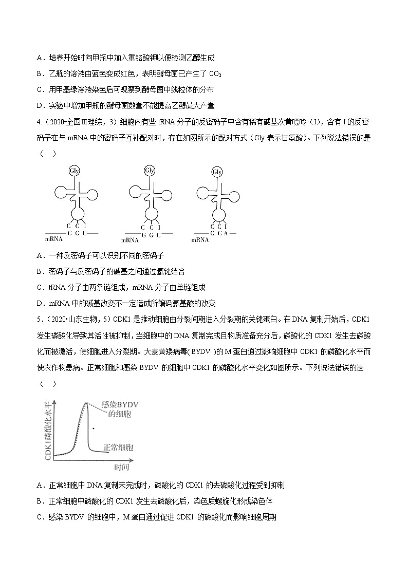真题重组卷03——2023年高考生物真题汇编重组卷（山东专用）（原卷版）第2页