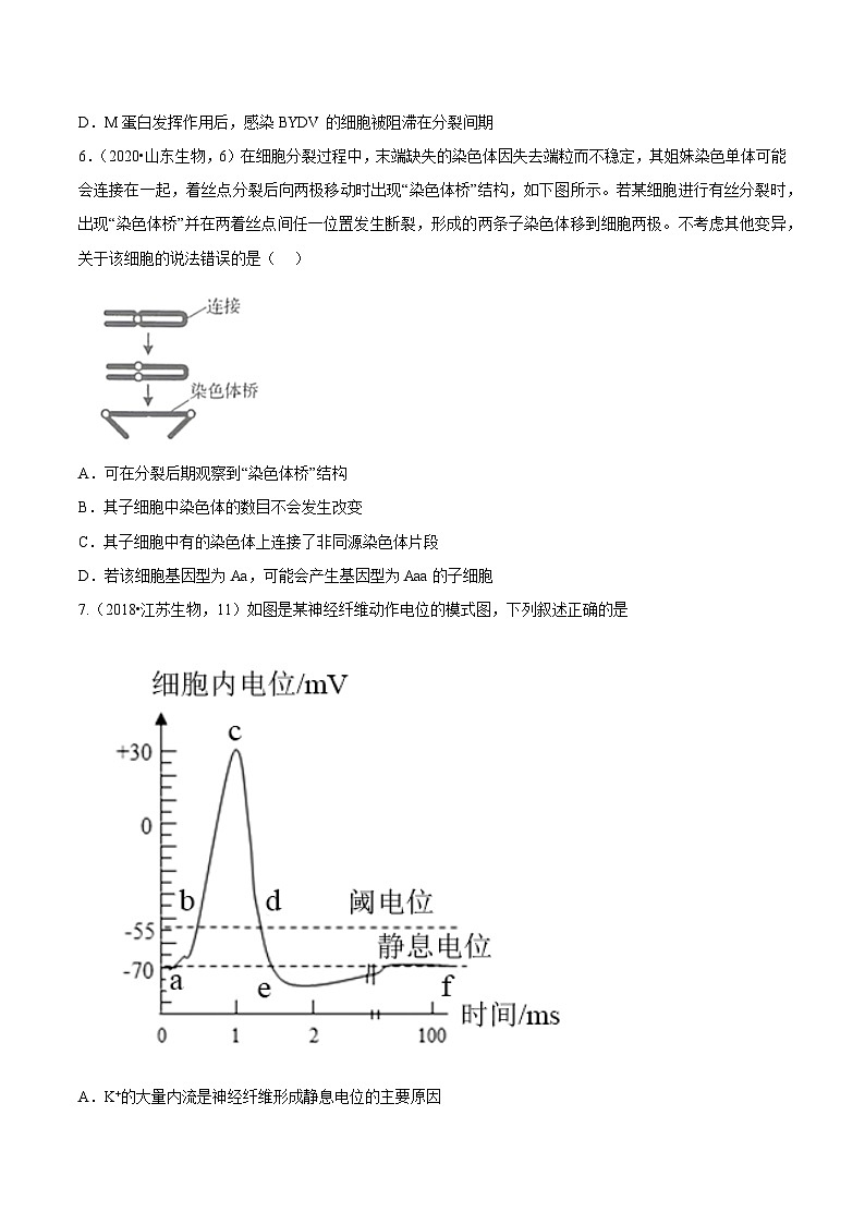 真题重组卷03——2023年高考生物真题汇编重组卷（山东专用）（原卷版）第3页