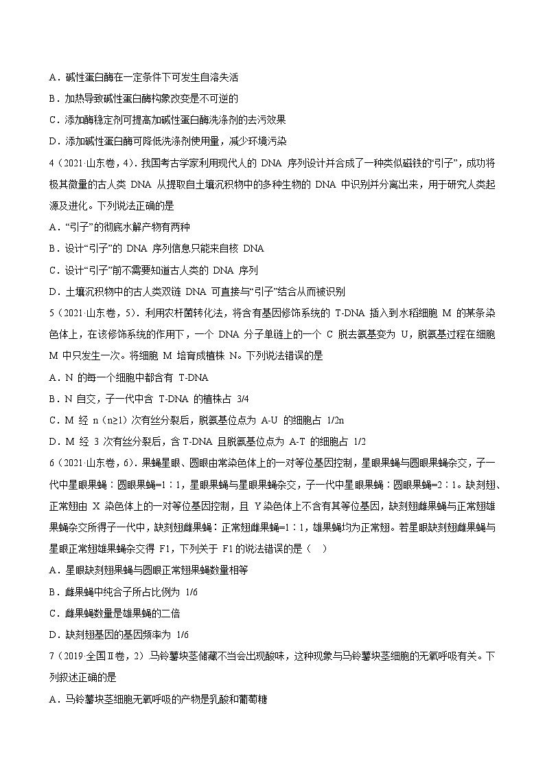 真题重组卷05——2023年高考生物真题汇编重组卷（山东专用）02
