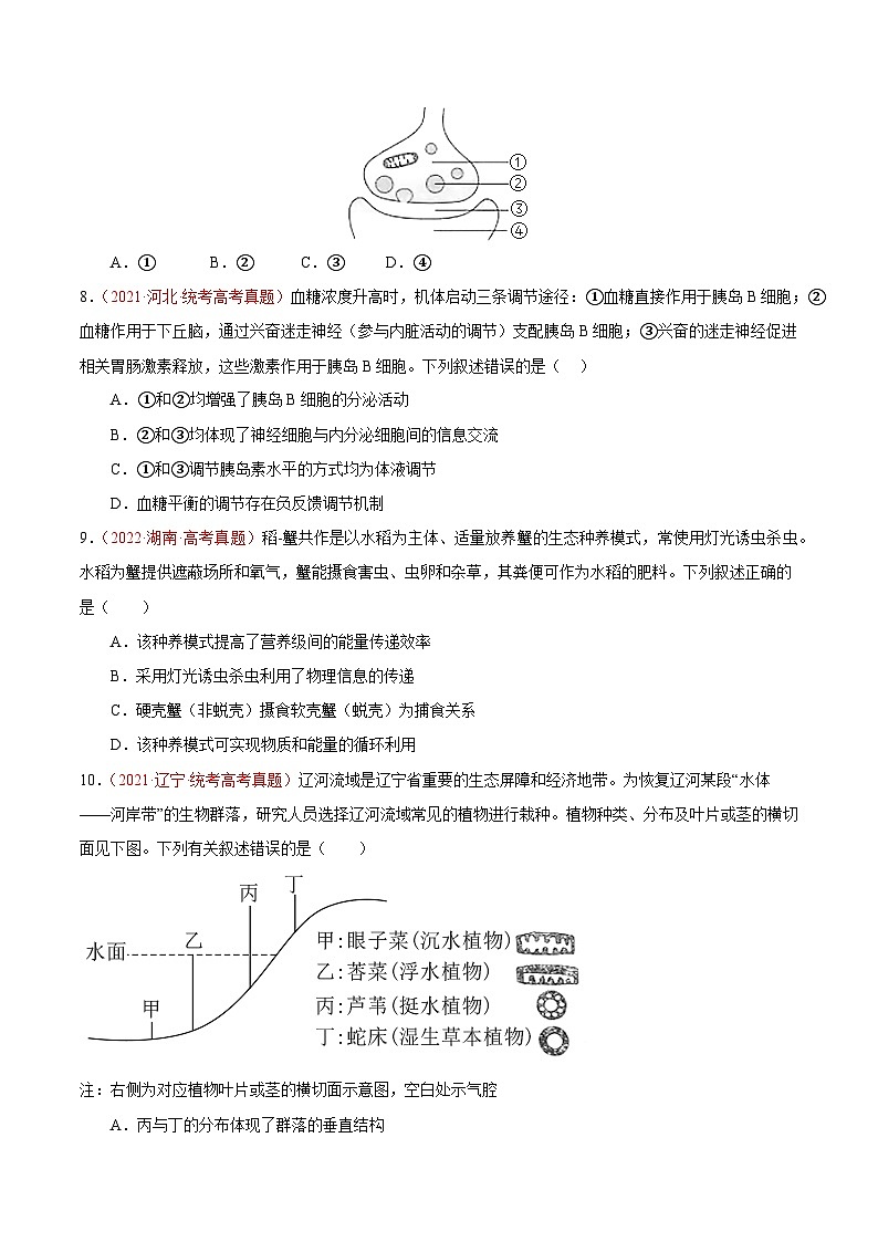 真题重组卷02——2023年高考生物真题汇编重组卷（广东专用）03