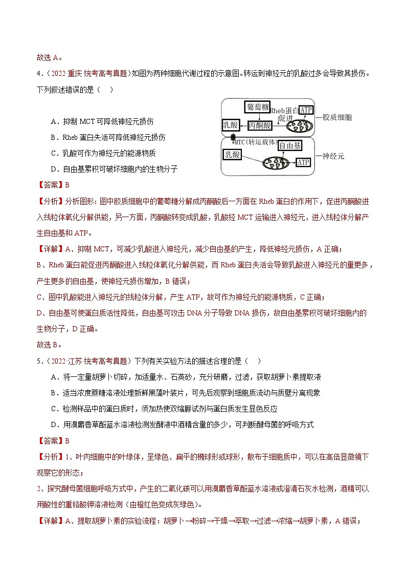 真题重组卷04 冲刺2023年高考广东真题重组卷（解析版）第3页