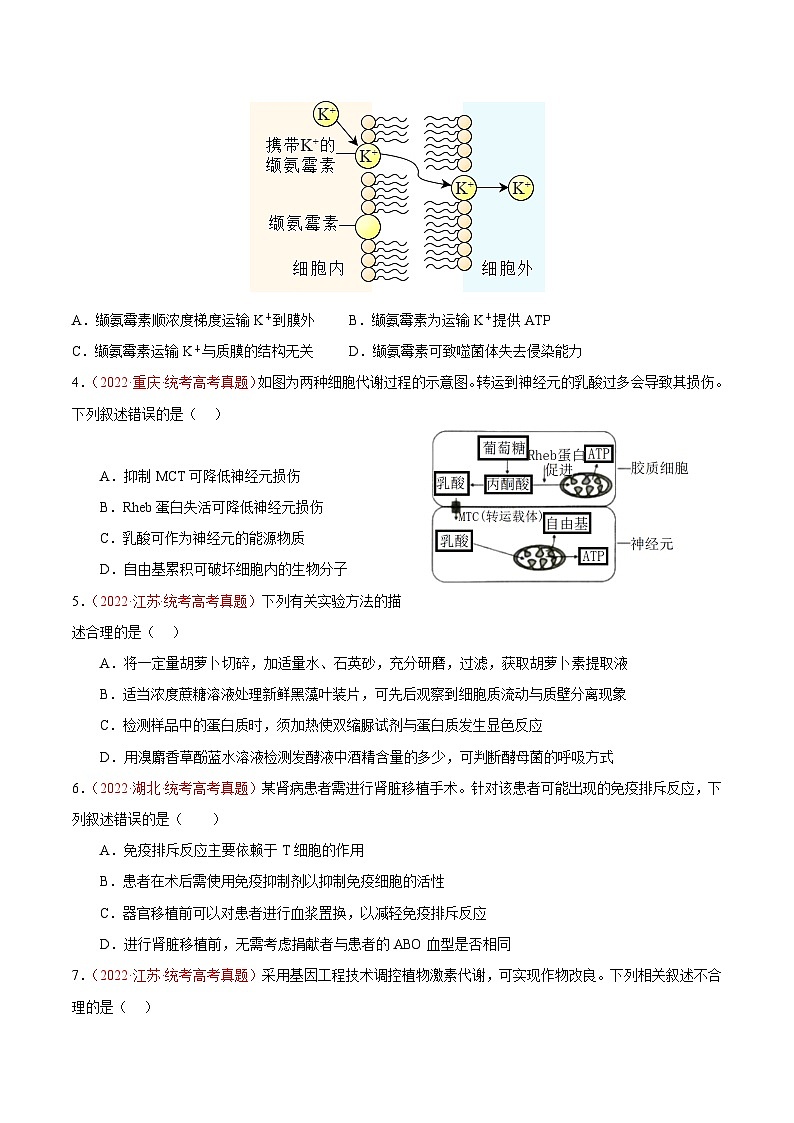真题重组卷04 冲刺2023年高考广东真题重组卷（原卷版）第2页