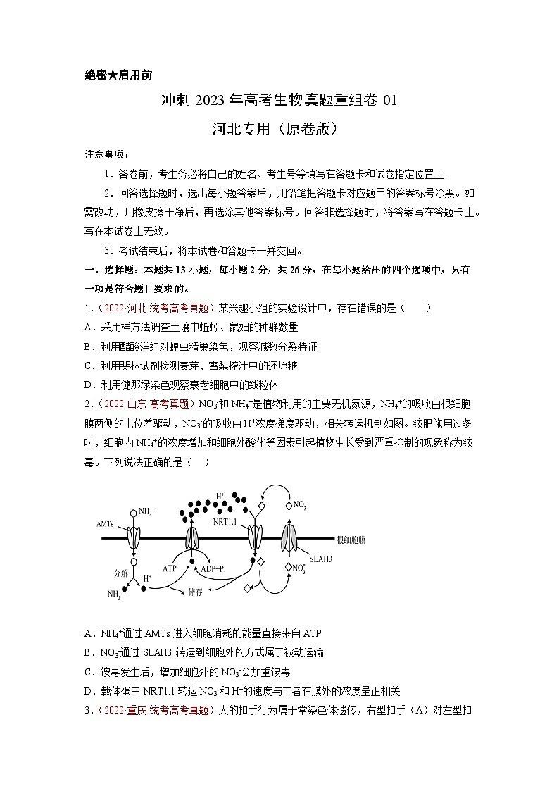 真题重组卷01（原卷版）.docx第1页