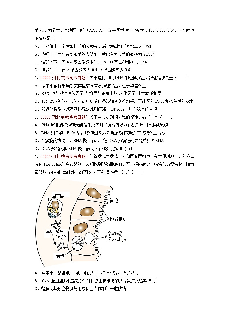真题重组卷01（原卷版）.docx第2页