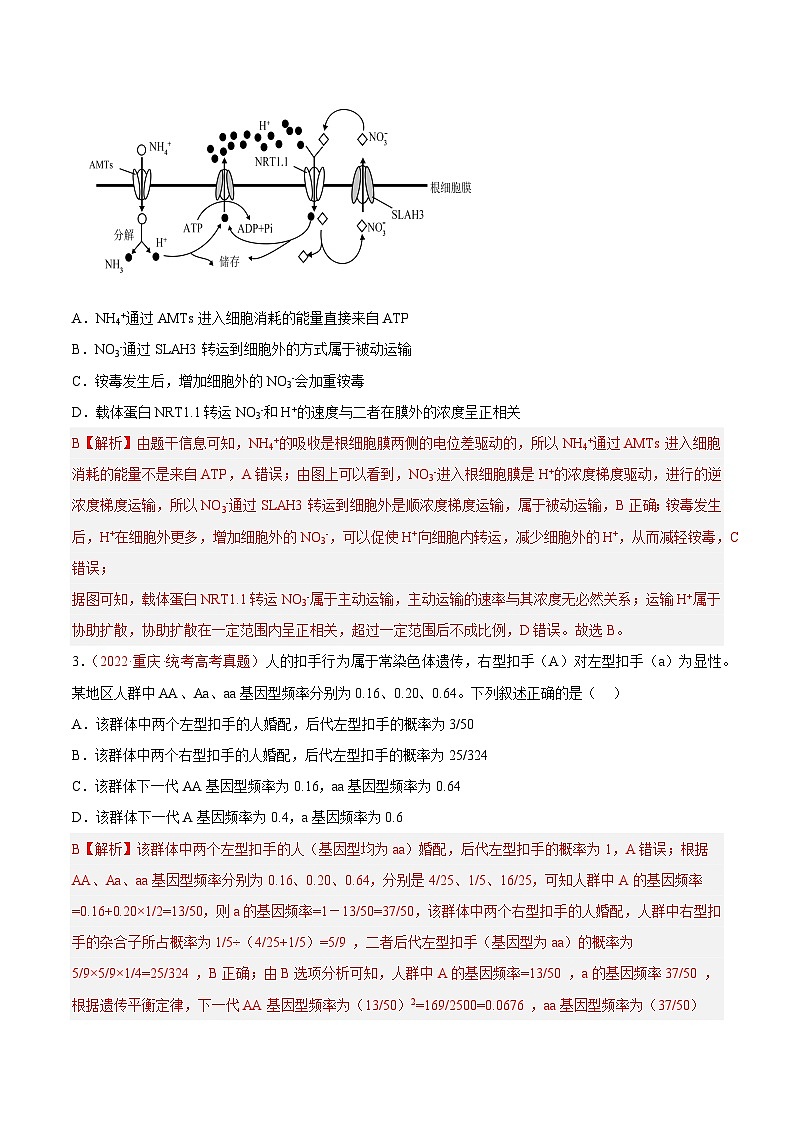 真题重组卷01（解析版）.docx第2页