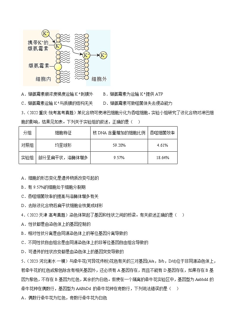 真题重组卷05——2023年高考生物真题汇编重组卷（河北专用）02