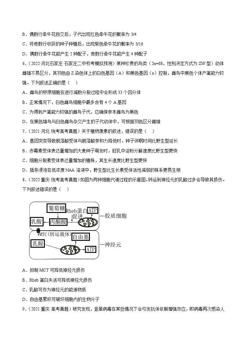 真题重组卷05——2023年高考生物真题汇编重组卷（河北专用）03