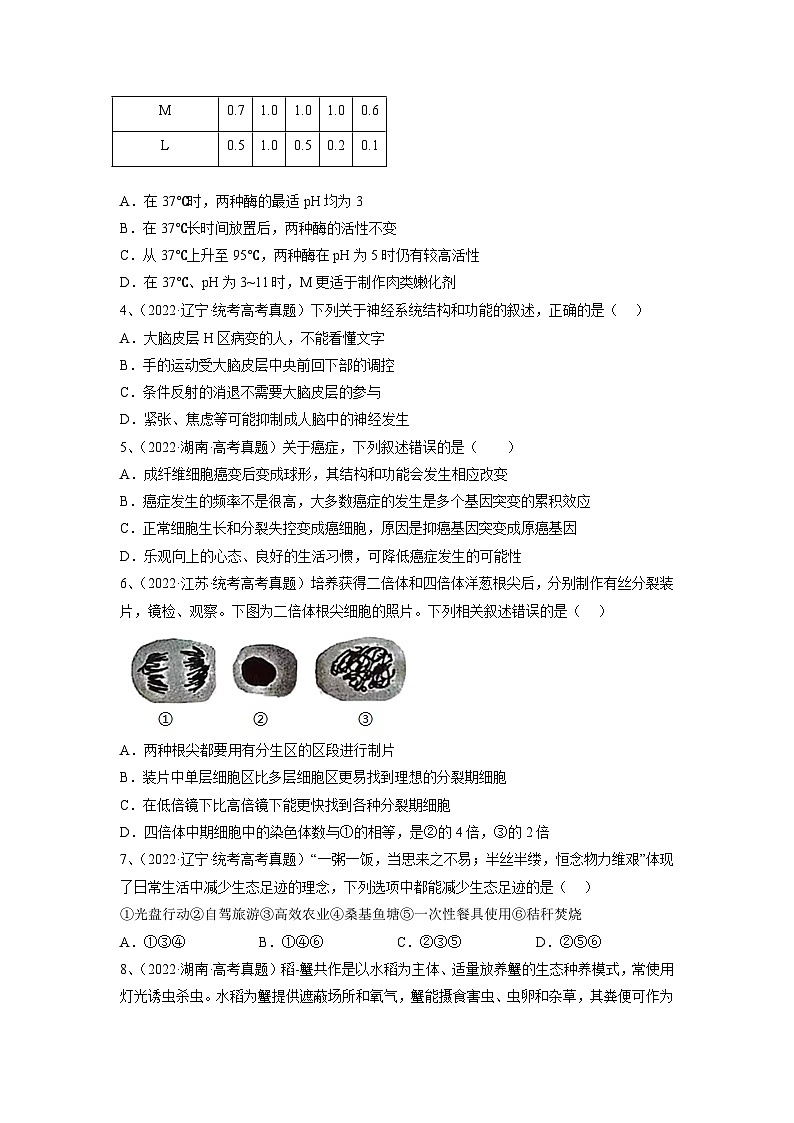 真题重组卷04——2023年高考生物真题汇编重组卷（湖南专用）（原卷版）第2页