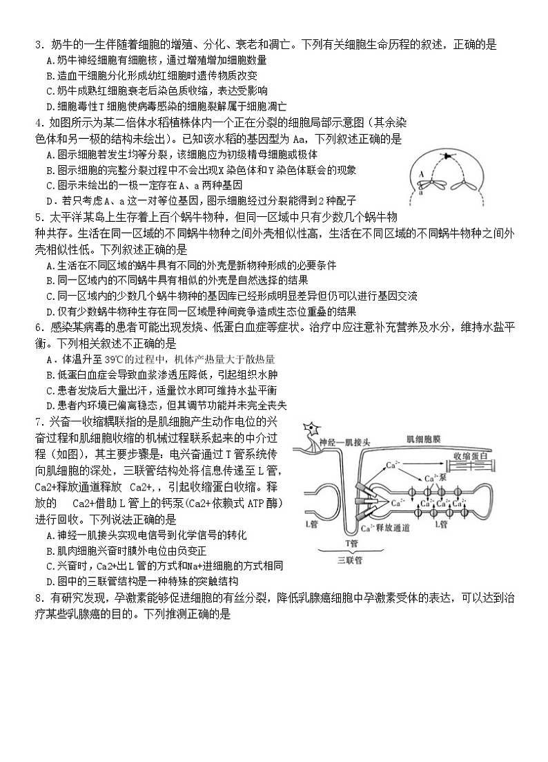 湖南省长沙市长郡中学2023届高三生物下学期模拟试卷（一）（一模）（Word版附解析）02