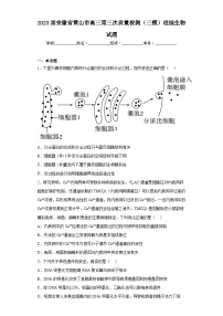 2023届安徽省黄山市高三第三次质量检测（三模）理综生物试题（含答案）