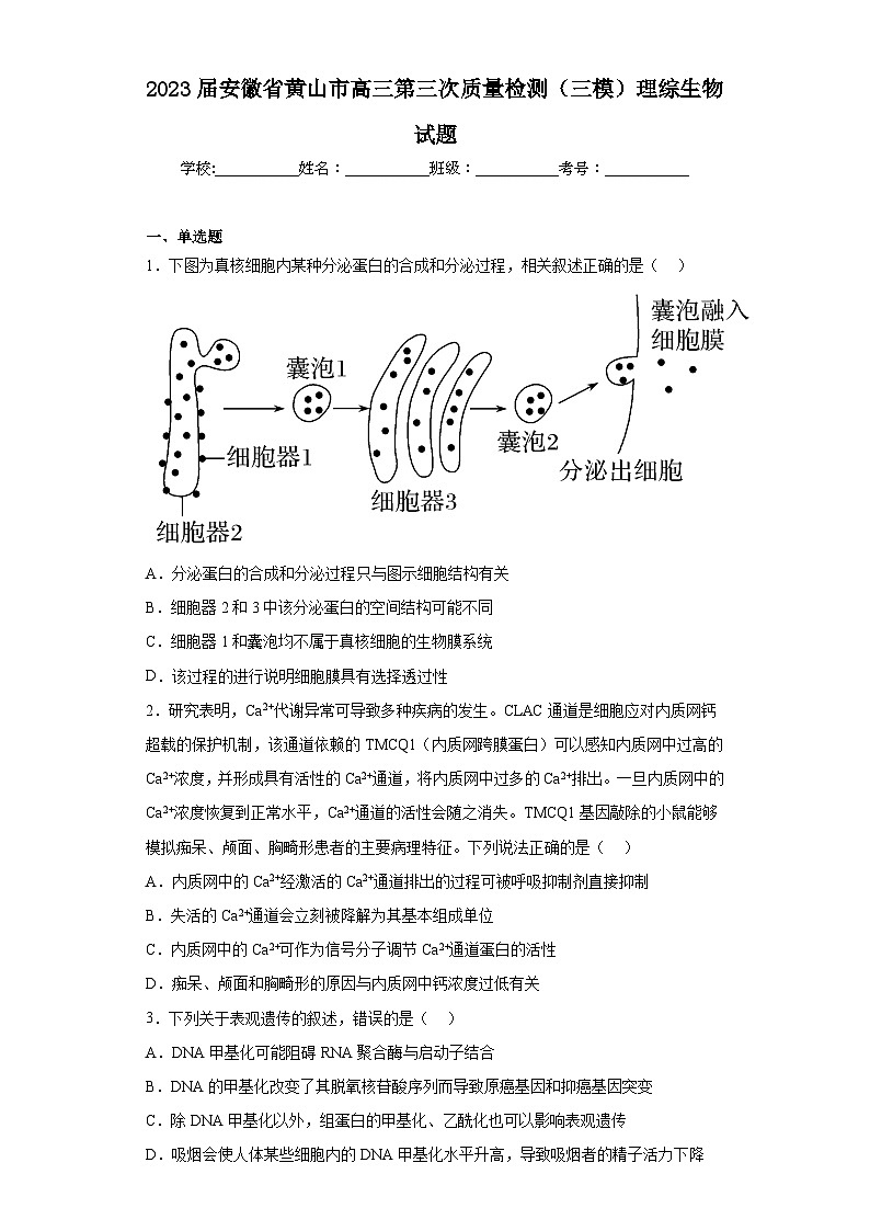 2023届安徽省黄山市高三第三次质量检测（三模）理综生物试题（含答案）第1页