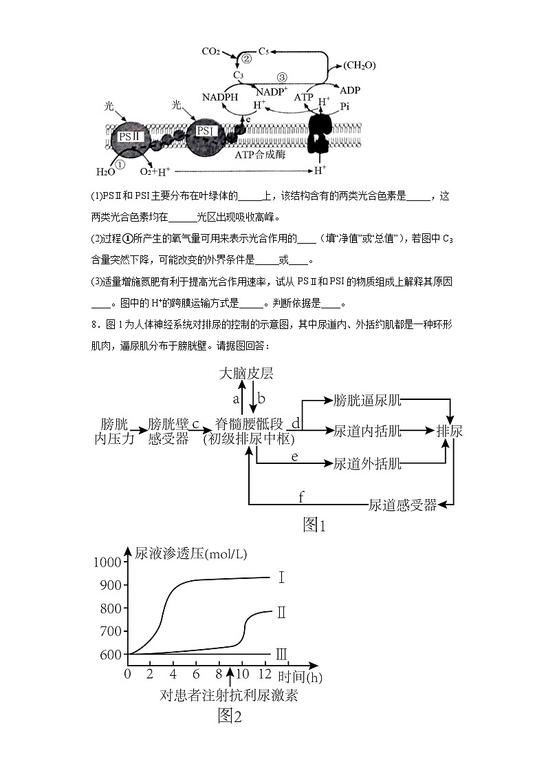 2023届黑龙江省牡丹江市三中高三下学期第三次模拟理综生物试题（含答案）第3页