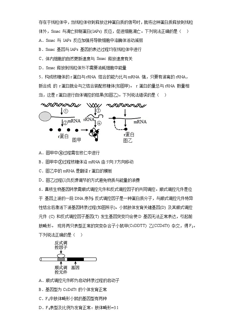 2023届山东省滨州市高三二模生物试题（含答案）02