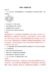 专题02 细胞的能量与代谢-十年（2012-2021）高考生物真题分项汇编（全国通用）（教师版）