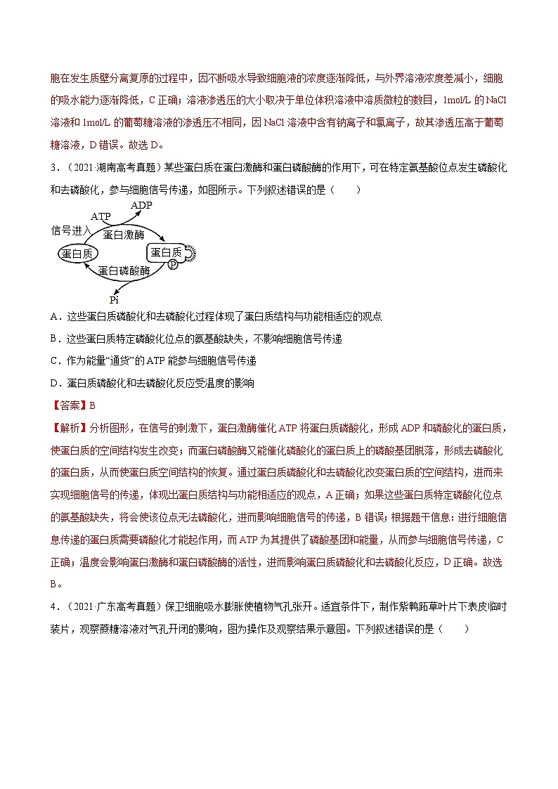 专题02 细胞的能量与代谢-十年（2012-2021）高考生物真题分项汇编（全国通用）（教师版）第2页